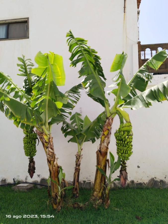 2 Camere Splendida Casa Vacanze In Tenerife Del Sur Casa Trilly อาโรนา ภายนอก รูปภาพ